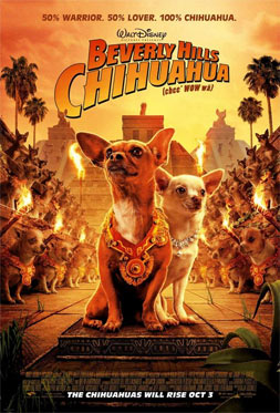 visit the chihuahua clothes shop