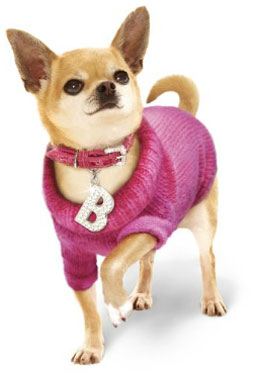 Chihuahua Fashion Dogs Clothes