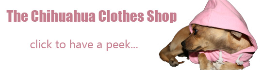 Pet clothes for small dogs, at the Chihuahua Shop. Click here to browse.