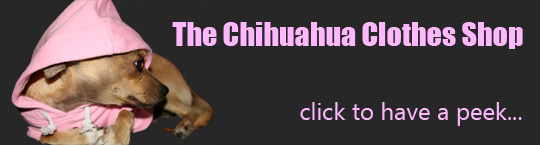 visit the chihuahua clothes shop