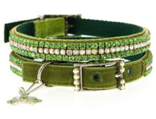 Trendy Dog Collars