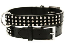 Boy Dog Collars