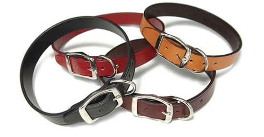 cheap puppy collars