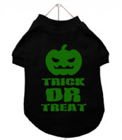 chihuahua clothes Halloween trick or treat pumpkin shirt