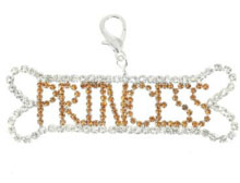 Princess Collar Charm