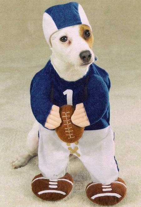 costumes-for-dogs-football-star-qb.jpg