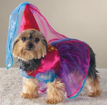 funny pictures of dogs in costumes. The princess dog costume would