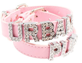 a customized pink chihuahua collar