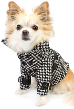 Designer Dog Coats