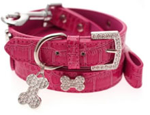 Dog Collars and Leads