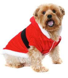 Dog Santa Outfit