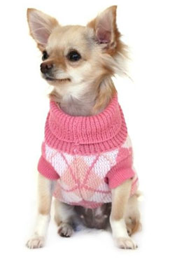 Dog Sweaters for Small Dogs