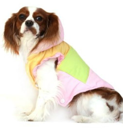 Small Dog Coats