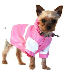 Small Dog Raincoats