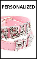 personalized puppy collars
