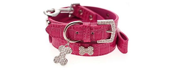 Legally Blonde puppy collars in pink