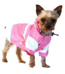 Raincoats For Dogs