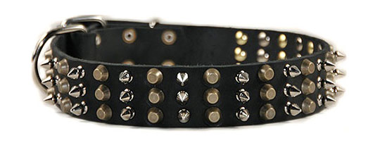 boy dog collars with spikes
