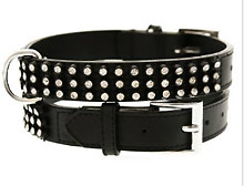 Studded Dog Collars