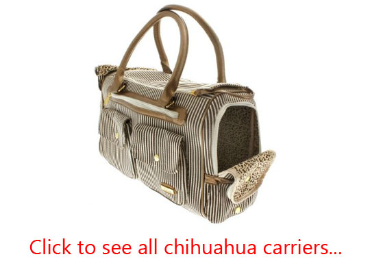 visit all chihuahua carriers at the Chihuahua Store