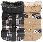 chihuahua-coats-for-boy-chihuahuas