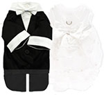 chihuahua-formal-wear-for-boy-chihuahuas