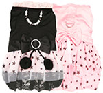 chihuahua dresses for girl chihuahuas