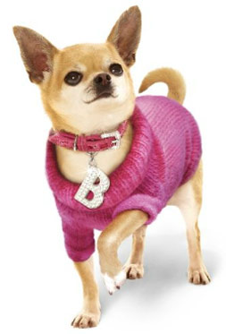 Chihuahua Clothes