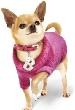 Chihuahua Sweaters