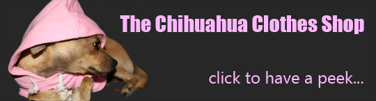View chihuahua clothes at the Chihuahua Shop