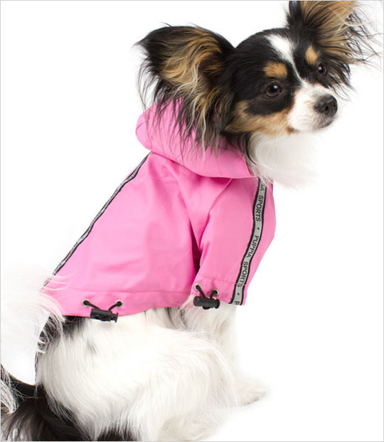 puppy coat jacket
