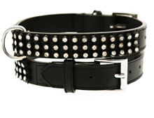 view this black leather Diamante crystal trendy dog collar!