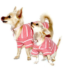Dog Shirts for Small Dogs