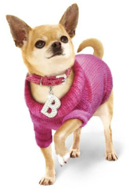 Chihuahua Doggie Boutique Clothes
