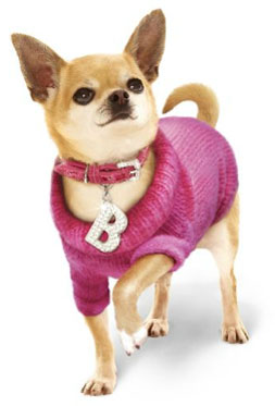 Pet Clothing for Dogs