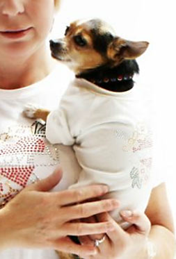 Clothes for Small Dogs