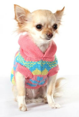 Quick and Easy Dog Coat Pattern @ Designs By SiCK