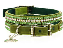 view this emerald green Wizard of Oz trendy dog collar!