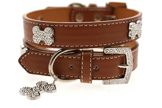 leather puppy collars