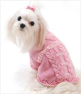 pink chihuahua sweaters