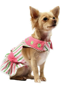 Pet Clothes for Dogs
