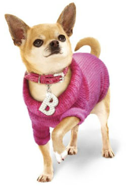 Pet Clothes for Small Dog Pets
