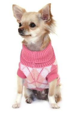 Chihuahua Jumpers