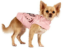 Chihuahua Puppy Clothes
