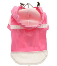 a pink chihuahua raincoat