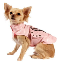 Chihuahua Clothes