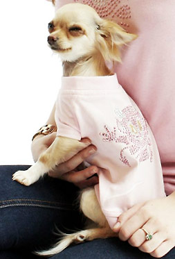 Pet Clothes for Dogs