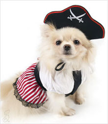 Costumes for Small Dogs