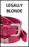 Legally Blonde puppy collars