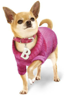 Tiny Chihuahua Clothes